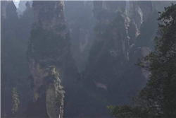 2019年畅世达年度旅游